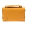 Tim Marigold Crossbody-3